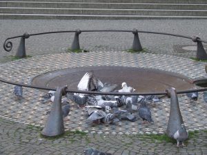 Taubenbrunnen von Ewald Mataré